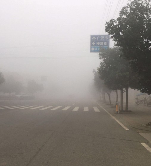 清江镇出现大雾天气图片