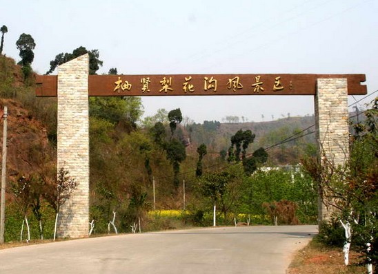 263.jpg