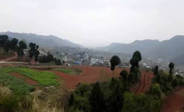 262.jpg