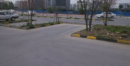 207.jpg