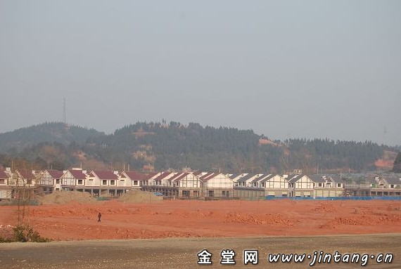 256.jpg