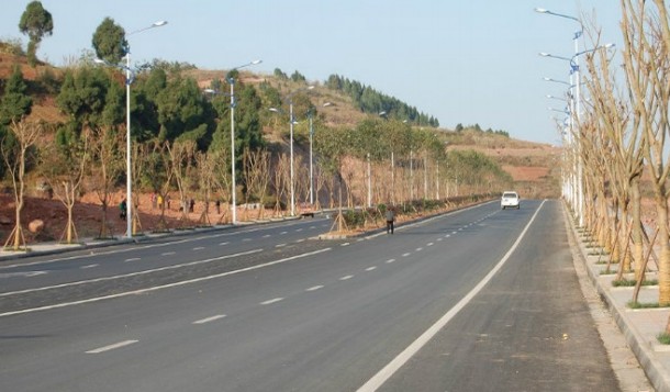 196.jpg