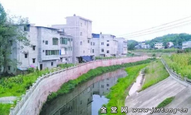 207.jpg