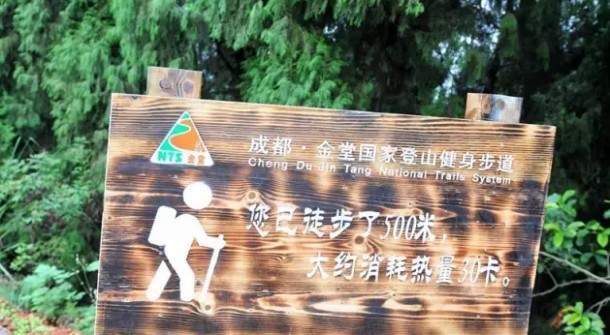 1504503845145232.jpg 202.jpg