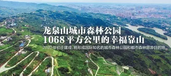 1504503913248852.jpg 640.webp.jpg