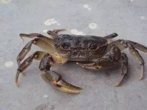 1505626452424250.jpg coWXMYASZpzNMUxfUWppDI0R9UI0LF4MEJWAr7lEXjvz51505533984530.jpg