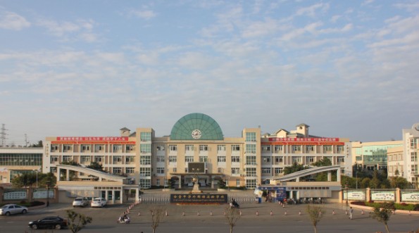 197.jpg