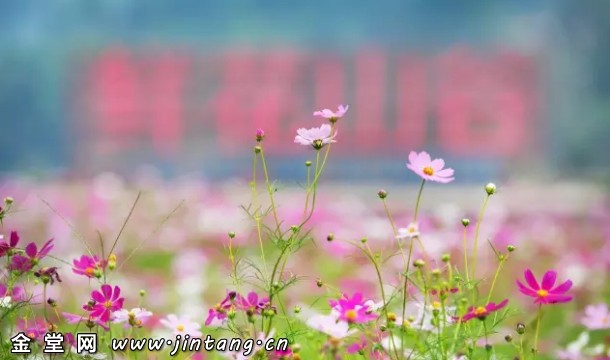 1505907286105169.jpg