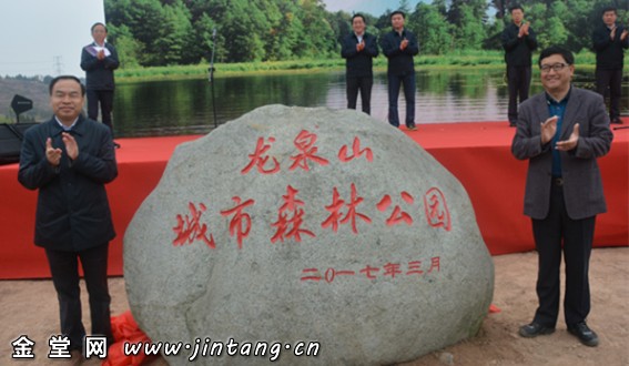 196.jpg
