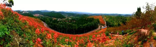 1509439432312711.jpg 1fa4ee972d264c6994a10e501a9f6d95.jpg