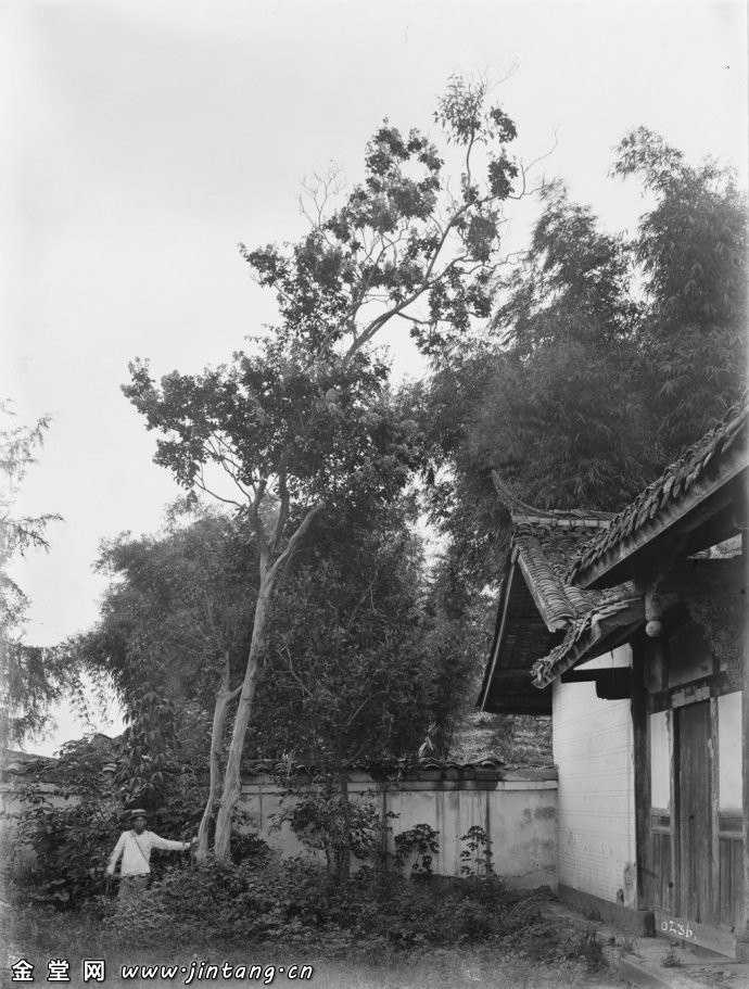 1910年的金堂县老照片（尔尼斯特·亨利·威尔逊）