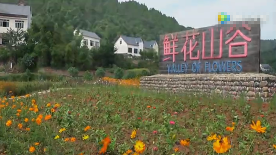 金堂鲜花谷的来历-金堂网-www.jintang.cn
