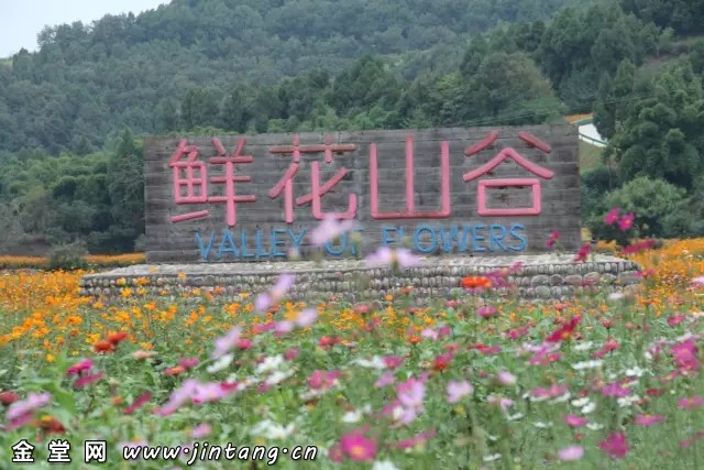 1509366176412803.jpg 640.webp (13).jpg