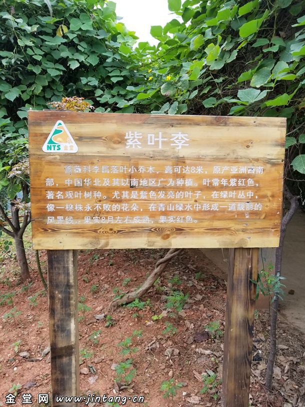 1507343075825177.jpg
