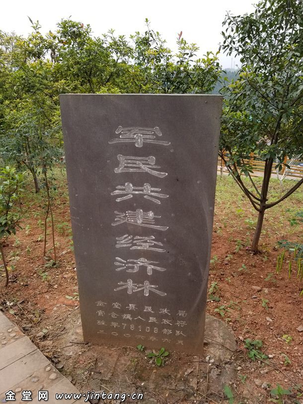 1507343075126702.jpg