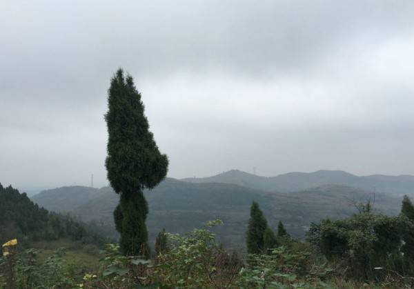 188.jpg