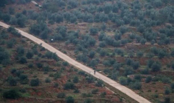 204.jpg