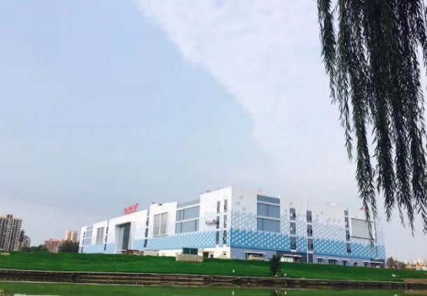 186.jpg