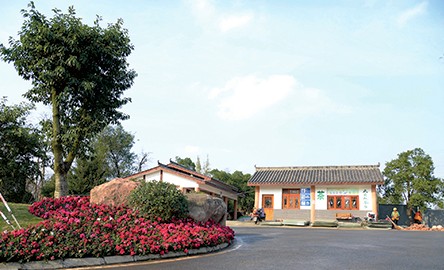 197.jpg