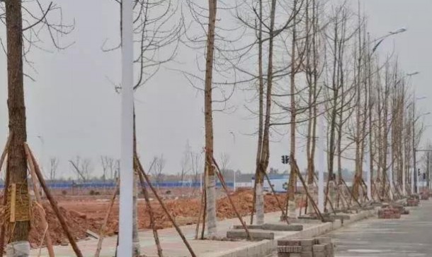 192.jpg