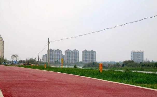 237.jpg