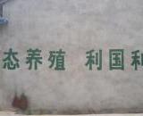 金堂县正式成立环境保护工作委员会