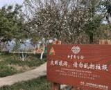 金堂玉皇山要门票吗