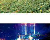 金堂县玉皇山谷菊花观花基地和中毗河滨水景观获评最美景观