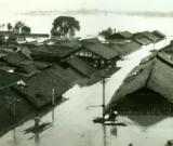 金堂县81年洪水现场图片|1981年洪水图
