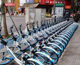 哈罗单车入驻金堂，支付宝芝麻信用650分免费骑