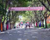 金堂实验中学投资一个亿，打造最美金堂校园