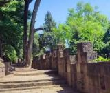 金堂县“三山一湖”森林旅游区总投资：50亿元