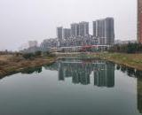 金堂县村（社区）建制调整改革初步方案