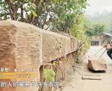 五凤镇——包容并蓄登陆CCTV4引发热议