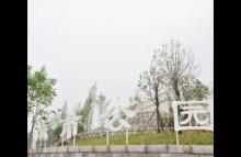 金堂山城市公园东山大草坪项目预计6月开放